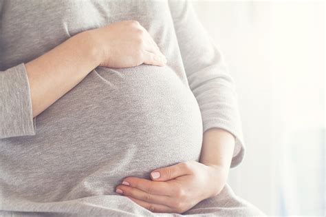 Indica Monroe and Pregnancy: Understanding Effects, Risks, and。